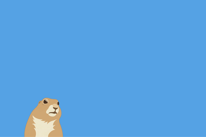 Dramatic - How a small rodent took the internet by surprise